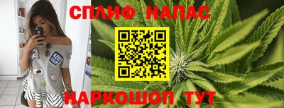 дживик Жуковский