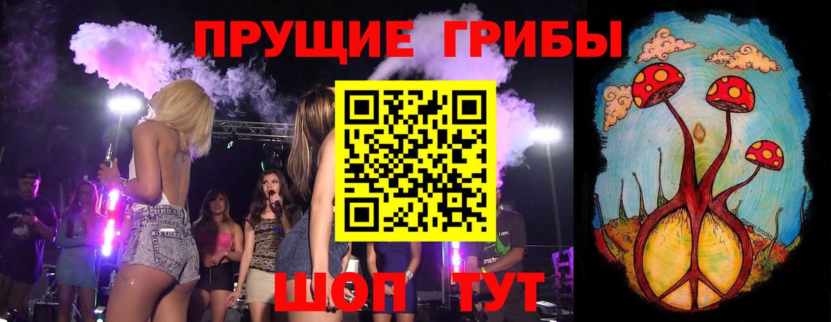 как найти закладки  Вход с VPN  Кызыл  Псилоцибиновые грибы прущие грибы 